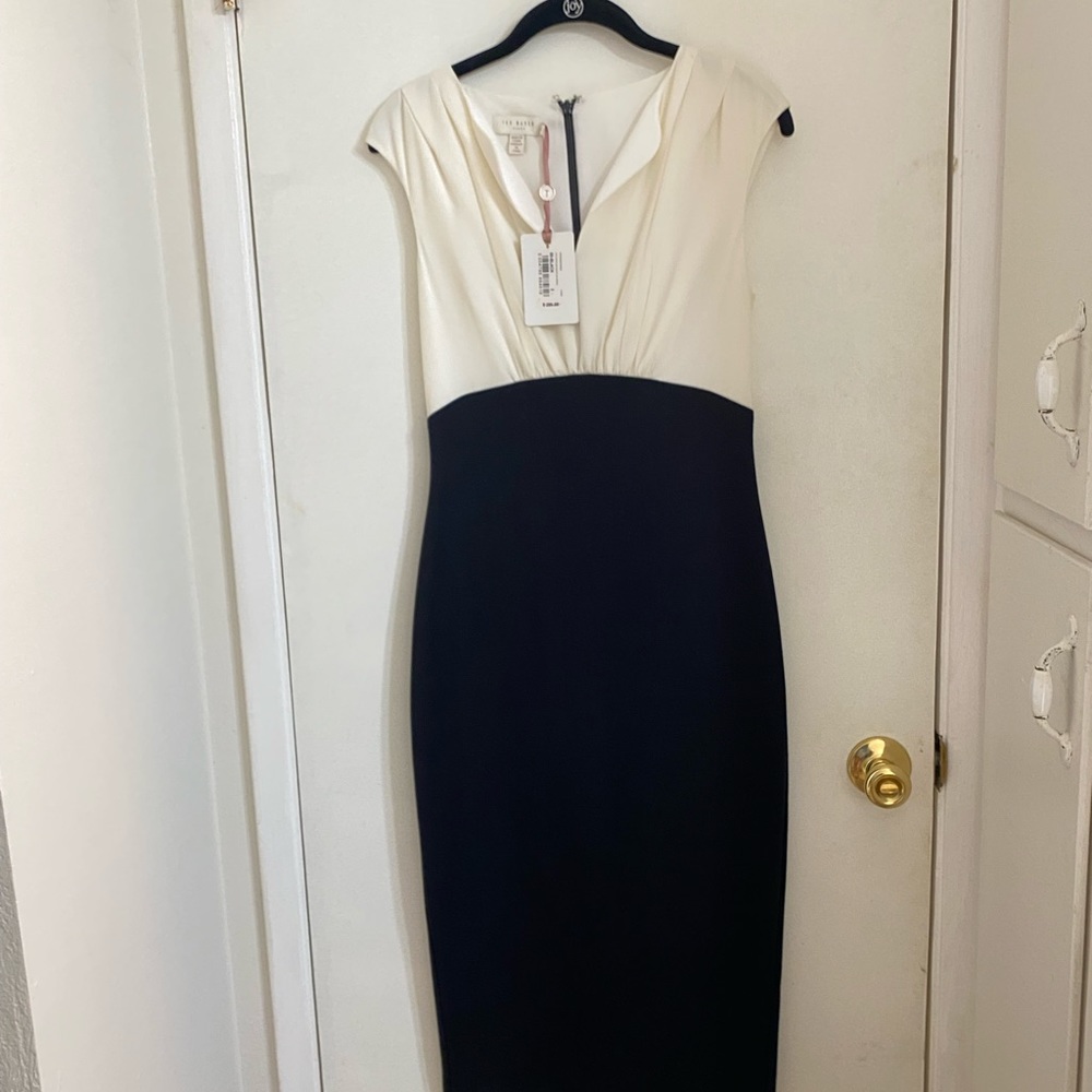 NWT Ted Baker Adeba Colorblock Bodycon Dress